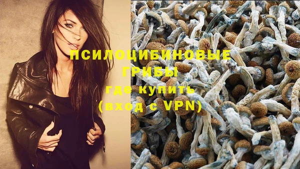 наркотики Абаза