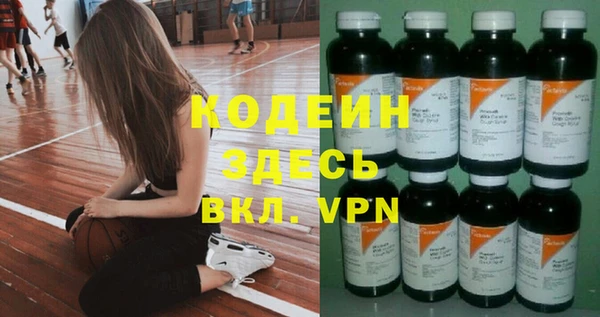 крисы Лагань