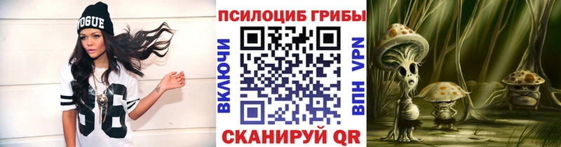 МЕГА как зайти  как найти   Урень  Галлюциногенные грибы мицелий 